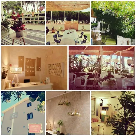 Hotel Petit Silvi Marina