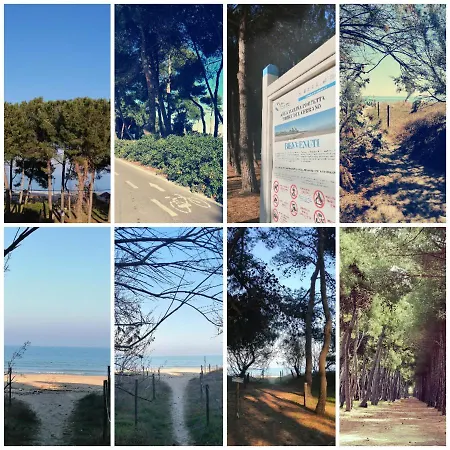 Petit Ξενοδοχείο Silvi Marina