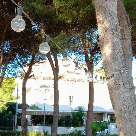 Petit 2* 锡尔维玛丽娜