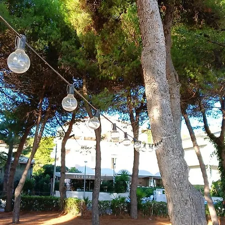 Petit Silvi Marina
