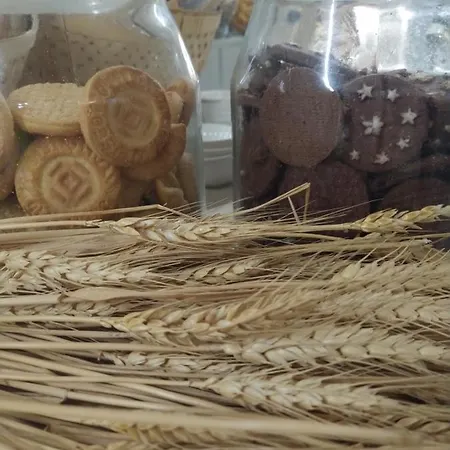 Petit Szálloda