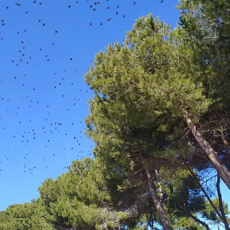 Petit Ξενοδοχείο