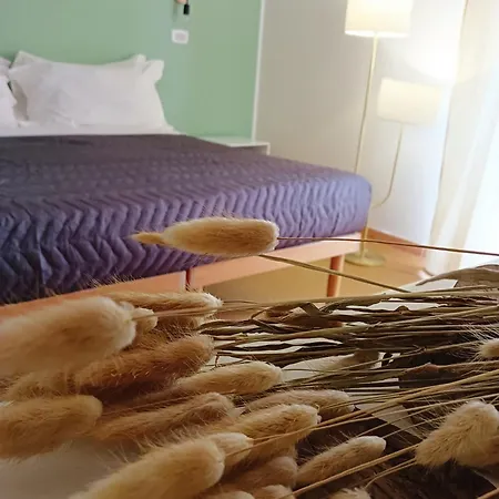 Petit Ξενοδοχείο