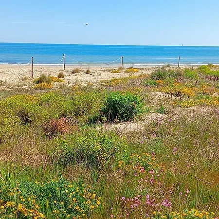 Petit 2* 실비마리나