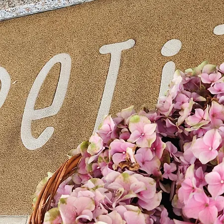 Отель Petit Royal 2*