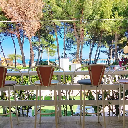 Petit 2* 실비마리나