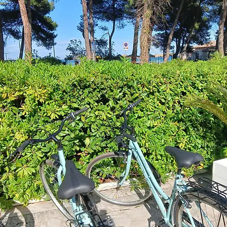 Petit 酒店 锡尔维玛丽娜