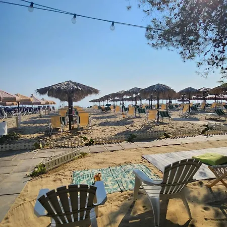 Petit 2* 锡尔维玛丽娜