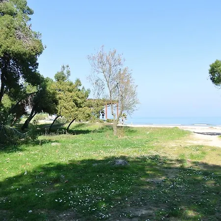 Szálloda Petit Silvi Marina
