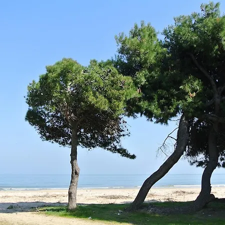 酒店 Petit 锡尔维玛丽娜