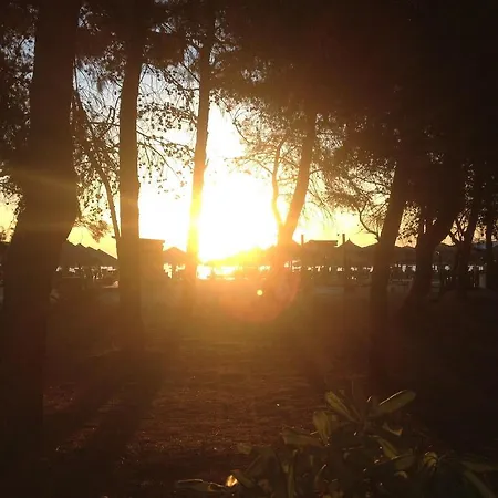 Ξενοδοχείο Petit 2*