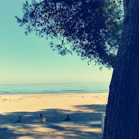 Szálloda Petit Silvi Marina