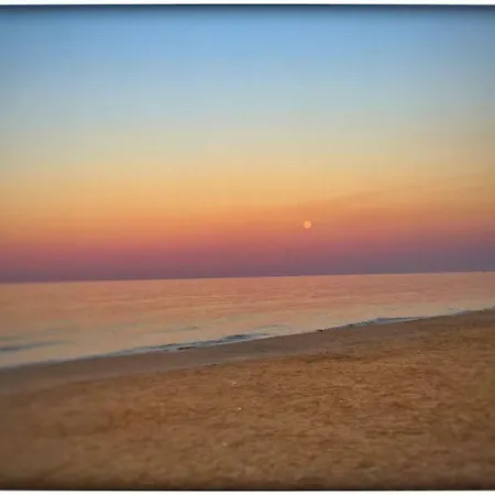 Petit 2* 锡尔维玛丽娜