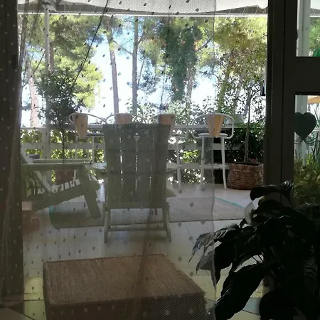 Hotel Petit Silvi Marina
