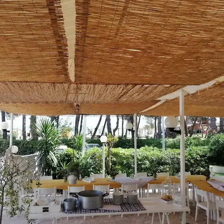 Petit 锡尔维玛丽娜