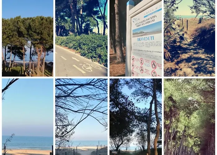 Petit Royal Отель Сильви-Марина