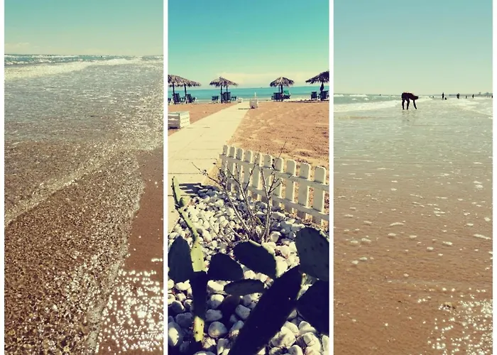 Petit Royal Отель 2*