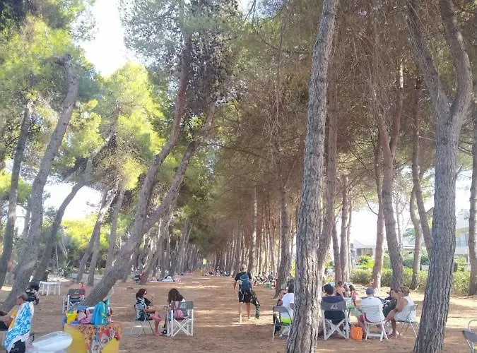 Petit Royal Отель 2*