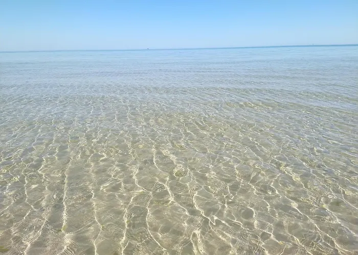 Отель Petit Royal