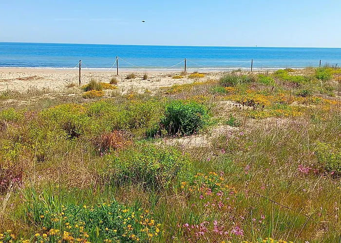 Petit 2* 실비마리나