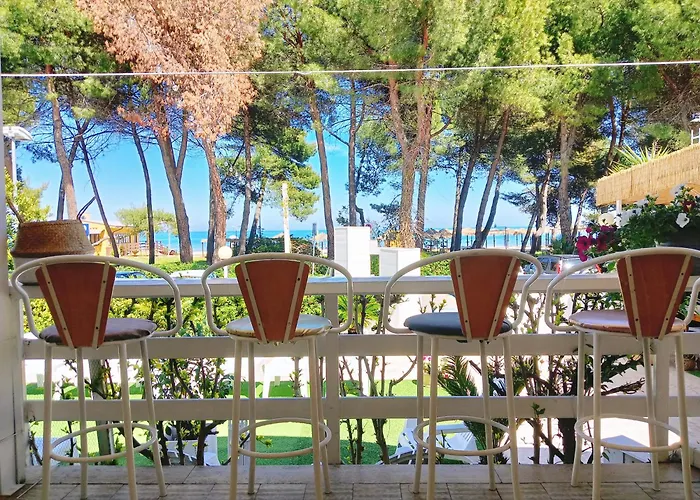 Petit 2* 실비마리나