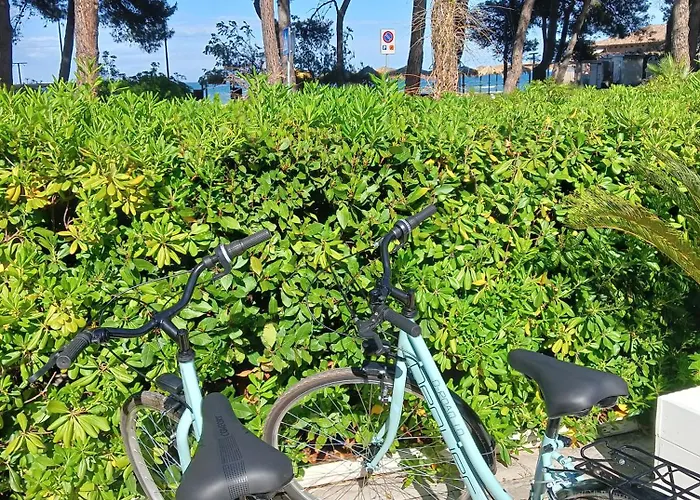 Petit 호텔 실비마리나