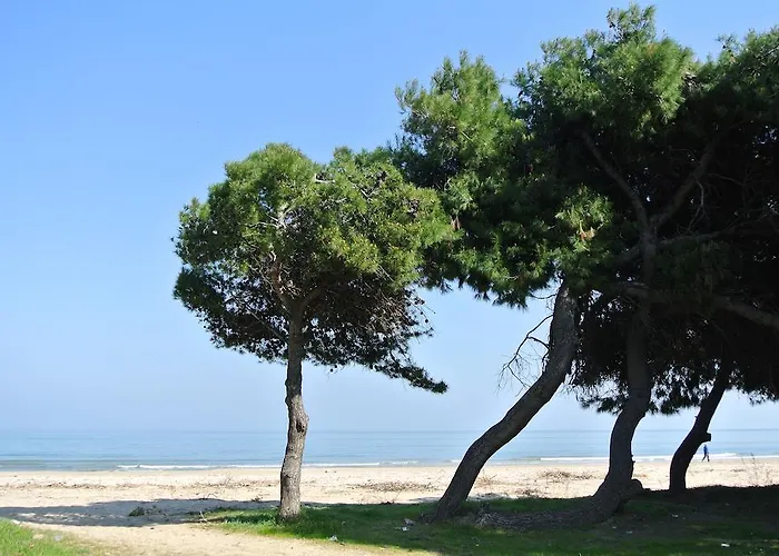 Отель Petit Royal Сильви-Марина