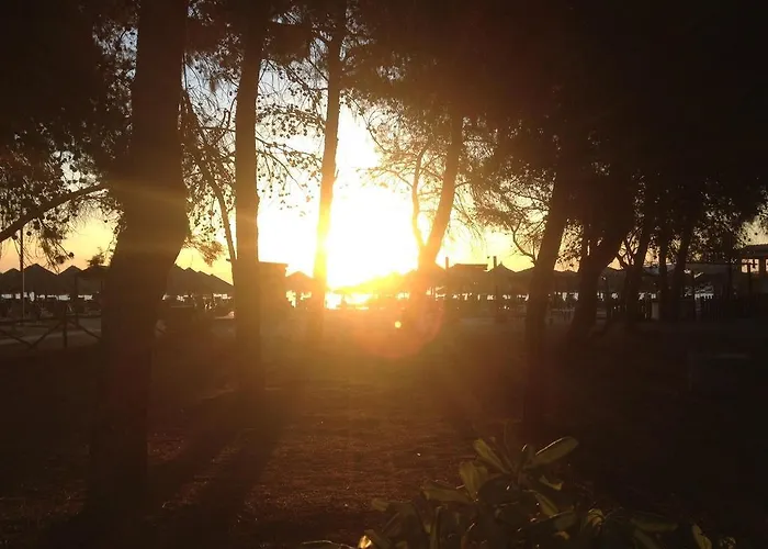 Отель Petit Royal 2*