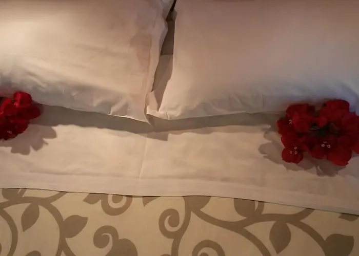 Otel Petit Silvi Marina