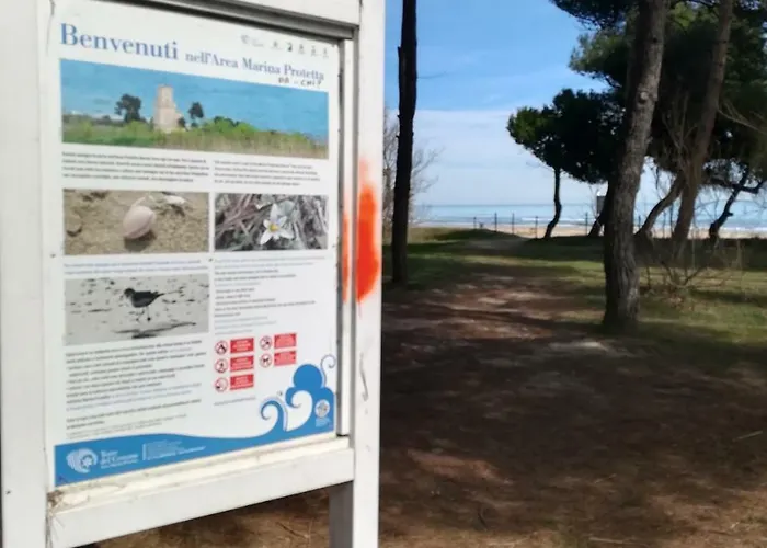 Petit Royal Отель 2*