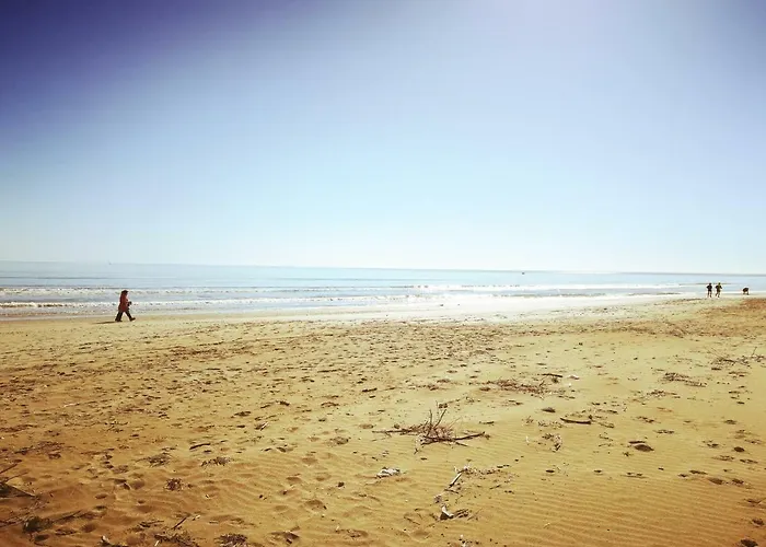 Отель Petit Royal