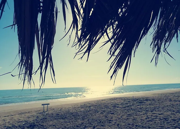 Petit Royal Отель 2*